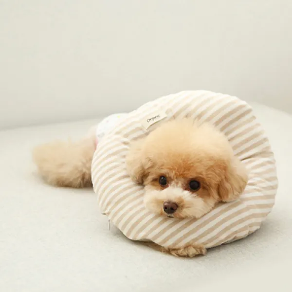 이츠독 오가닉 홈케어링 반려동물 넥카라 스트라이프 S 80g 1개