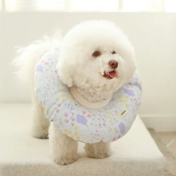 이츠독 오가닉 홈케어링 반려동물 넥카라 블루 Xl 200g 1개