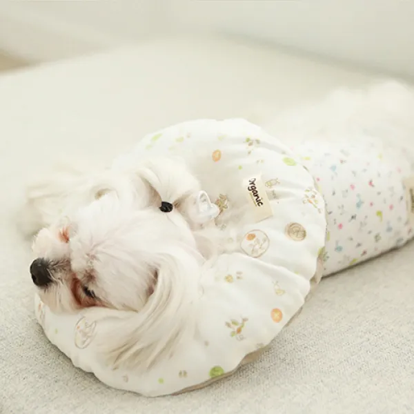 이츠독 오가닉 홈케어링 반려동물 넥카라 러브캣 L 120g 1개