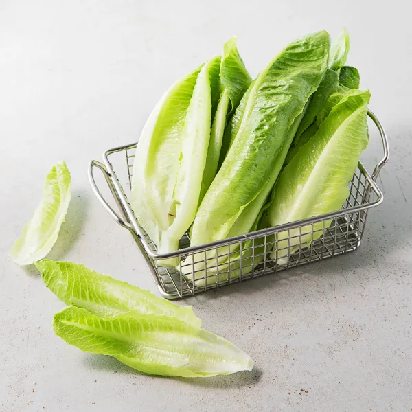 돌 미니 로메인, 210g, 1봉