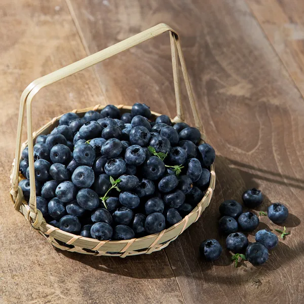 올프레쉬 국산 무농약 블루베리 500g 1팩