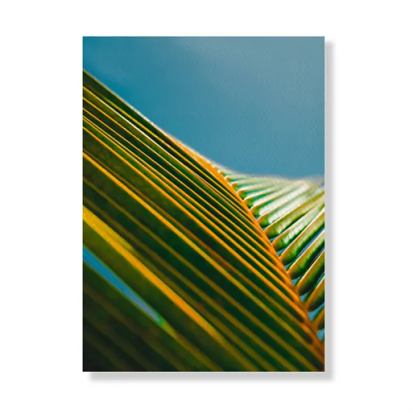 메이코플라워 홈데코 야자수 캔버스 야자