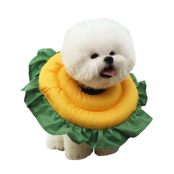 초코펫하우스 해바라기 넥카라 M 1개