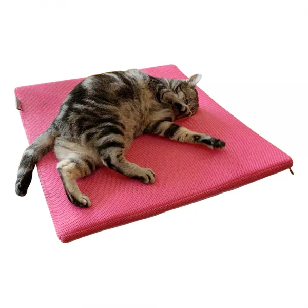 초코펫하우스 만원의 냥이 행복 놀이 매트 핑크