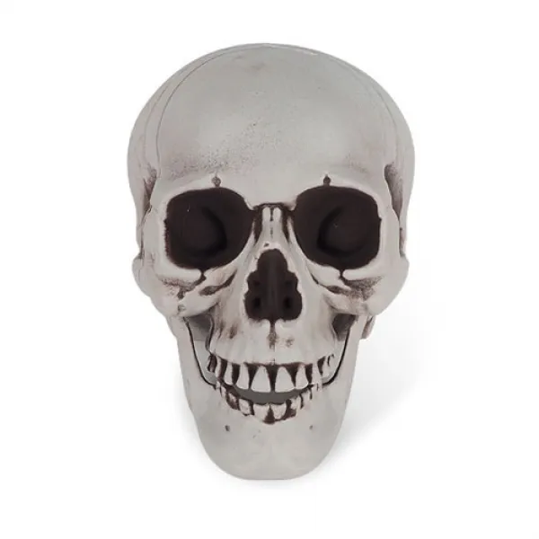 파티팡 얼굴 해골모형 2호 15 X 16 Cm 혼합 색상 1개