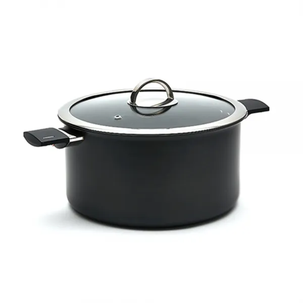 네오셰프 토스코 IH 하드아노다이징 경질냄비 양수, 24cm, 혼합 색상