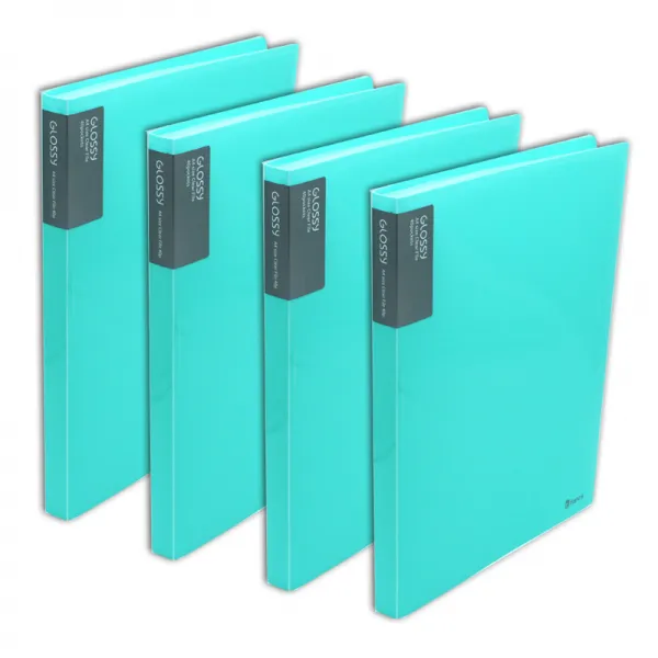 비팬시 글로시 클리어화일 A4 20매 블루 4개