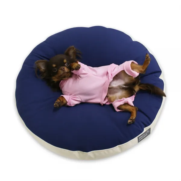 초코펫하우스 무중력 반려동물 우주방석 네이비