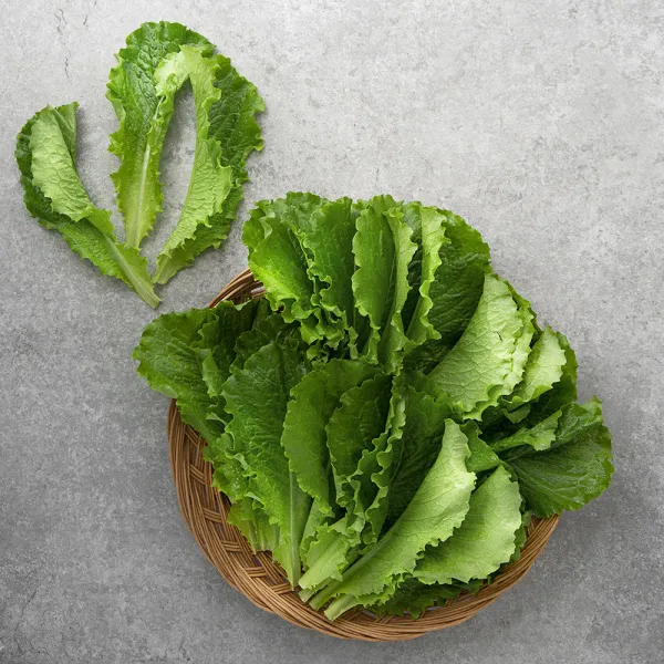 국내산 청상추, 200g, 1봉