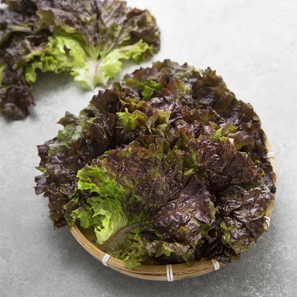 국내산 적상추, 200g, 1봉