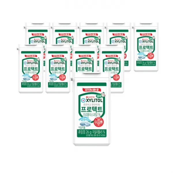 롯데제과 자일리톨 껌 프로텍트, 26g, 10개