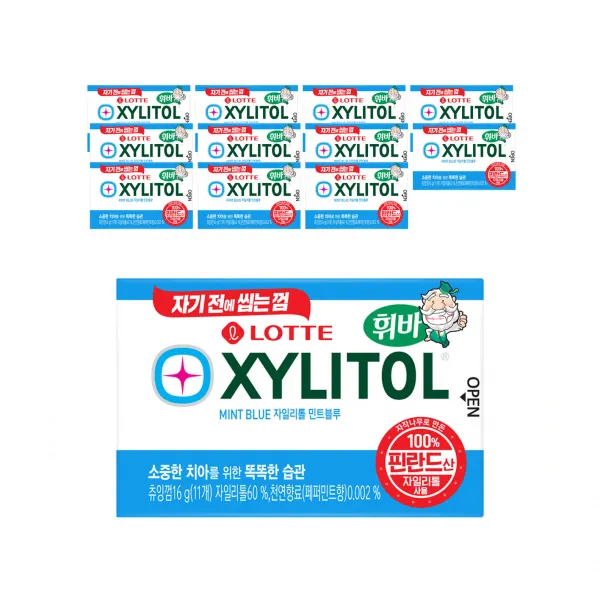 롯데제과 자일리톨 민트 블루, 16g, 12개
