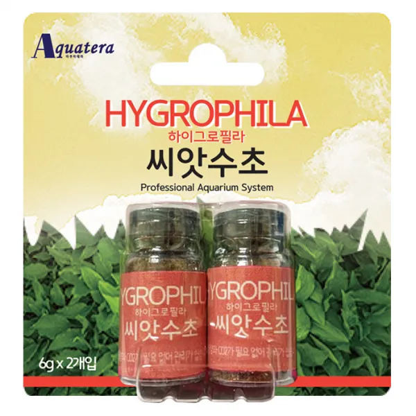 아쿠아테라 씨앗수초 관상어 용품 하이그로필라 6g 2개