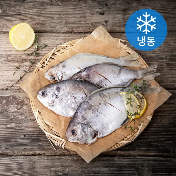 탐나씨푸드 제주 바다 돌병어 (냉동), 1kg, 1개