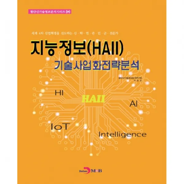지능정보haii 기술사업화 전략분석 진한엠앤비