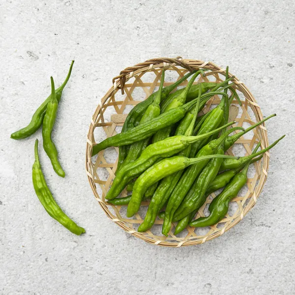 꽈리고추, 1봉