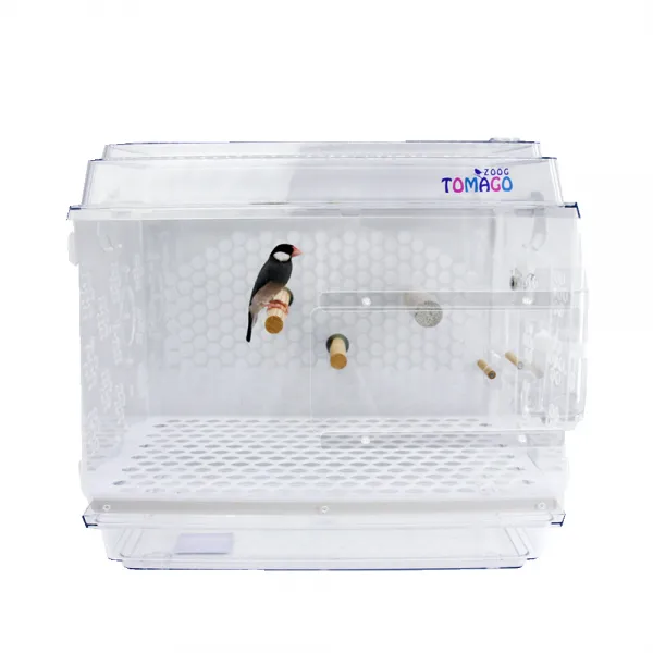 토마고 아크릴새장 TOM-65L, 혼합색상, 1세트