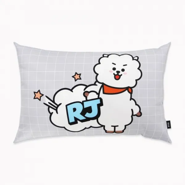BT21 코믹 팝 베개, 알제이