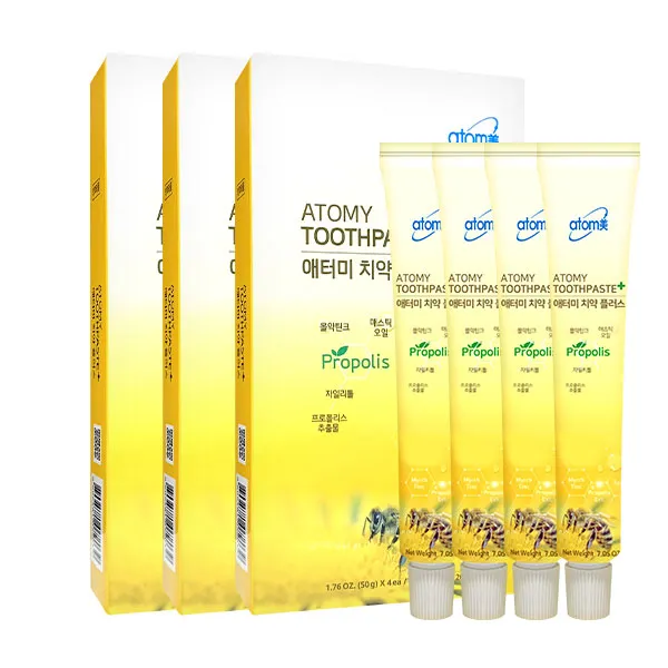 애터미 치약 플러스, 50g, 12개