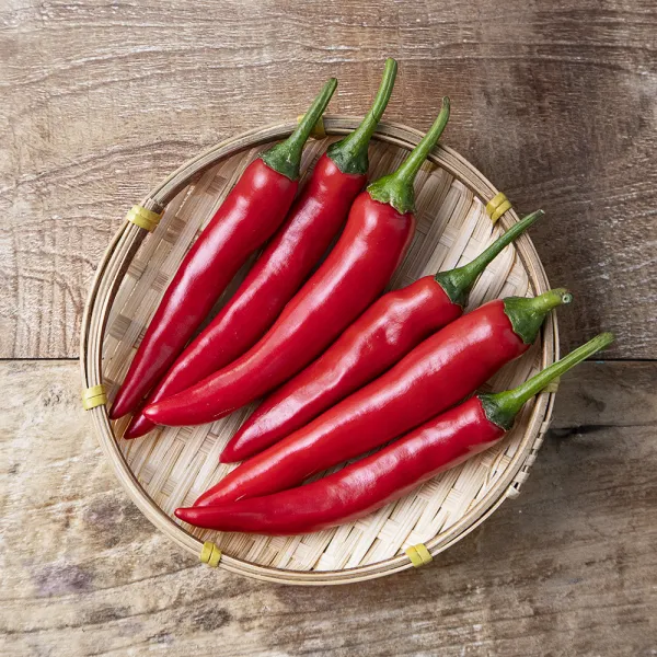친환경 인증 홍고추, 100g, 1봉