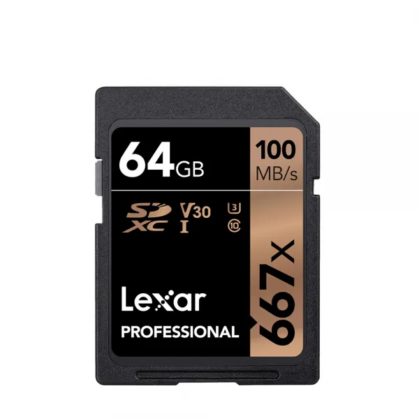 렉사 SDXC 667배속 UHS-I SD카드, 64GB