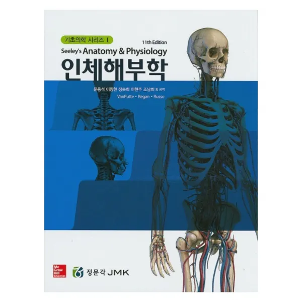 인체해부학, 정문각