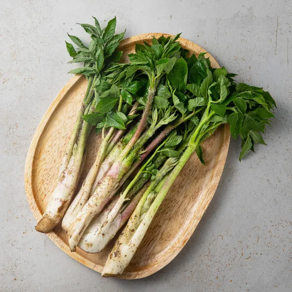 GAP 인증 땅두릅, 200g, 1팩