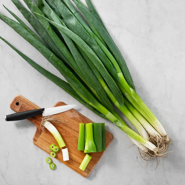 친환경 인증 흙대파, 500g, 1단