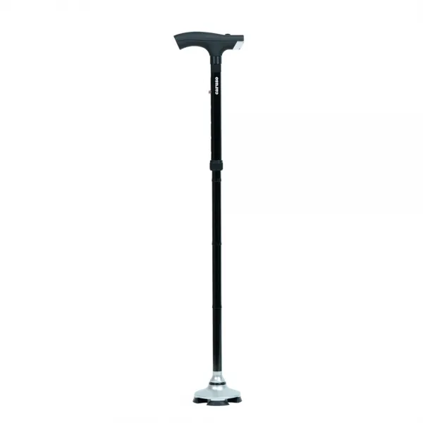 카루소 효도 지팡이 C820 Large, 혼합색상, 1개