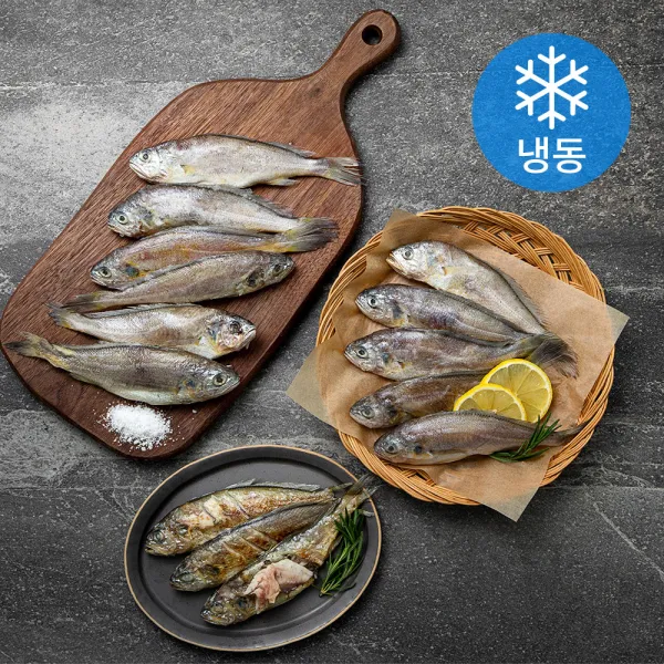영광법성포 중장대 굴비 (냉동), 60g, 60마리