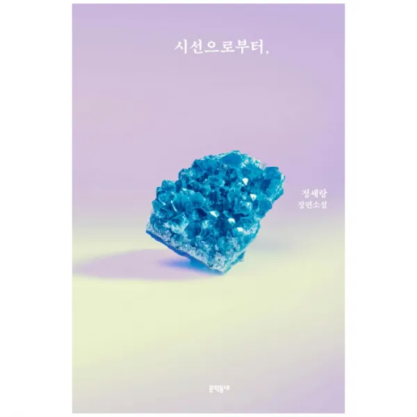 시선으로부터, 문학동네