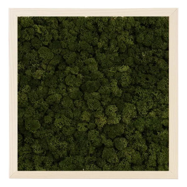 스칸디아모스 Birch 프레임 + 프라모 모스그린 1세트