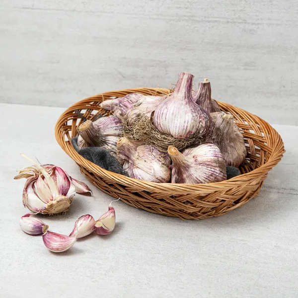 의성 통마늘, 1kg, 1개