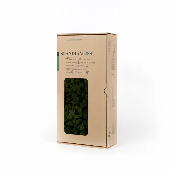 스칸디아모스 이끼 Rm500 모스그린 500g 1개