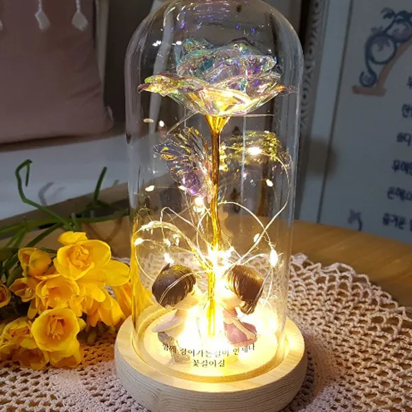 장미 프리저브드 유리돔 무드등 홀로그램 소년소녀