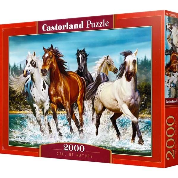 캐스토랜드 질주 직소퍼즐 CS200702, 2000피스, 혼합색상