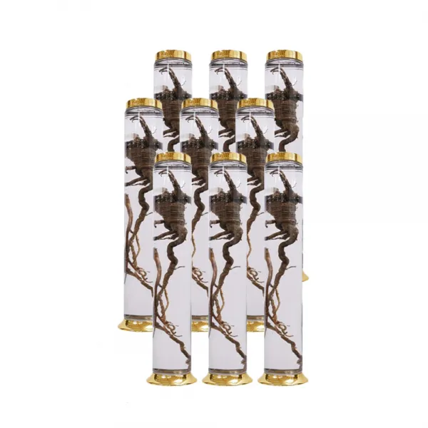 수동 35호 일자형 유리병 2.5l 9개