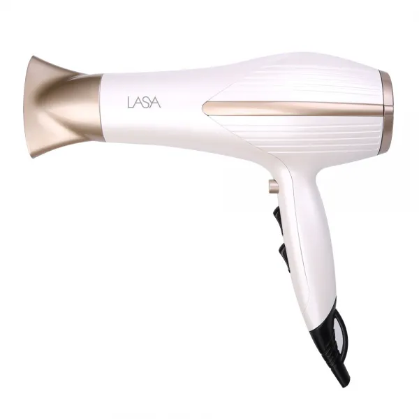 라샤 전문가용 헤어 드라이기 Ls2101d 2200w 혼합색상