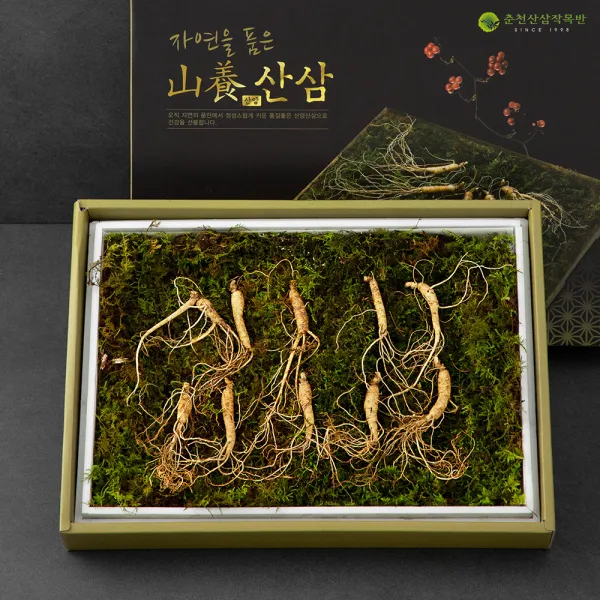 몸애조화 국내산 한국임업진흥원인증 산양삼 5년 10뿌리 세트, 1세트