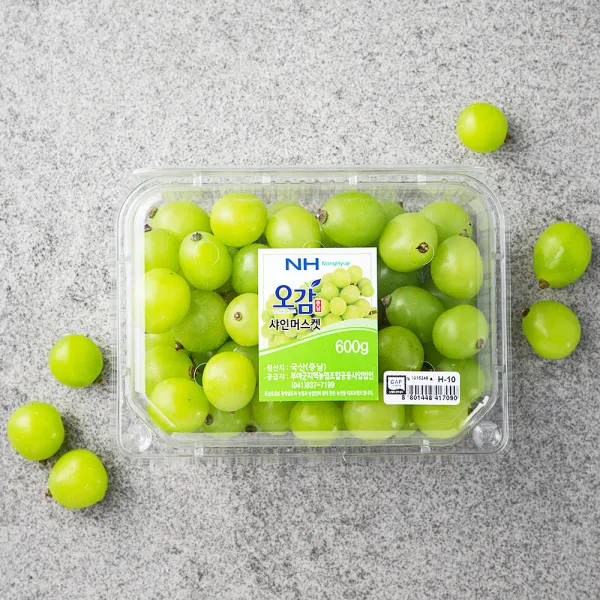 GAP 인증 충남오감 농협 방울샤인머스켓 포도, 600g, 1팩