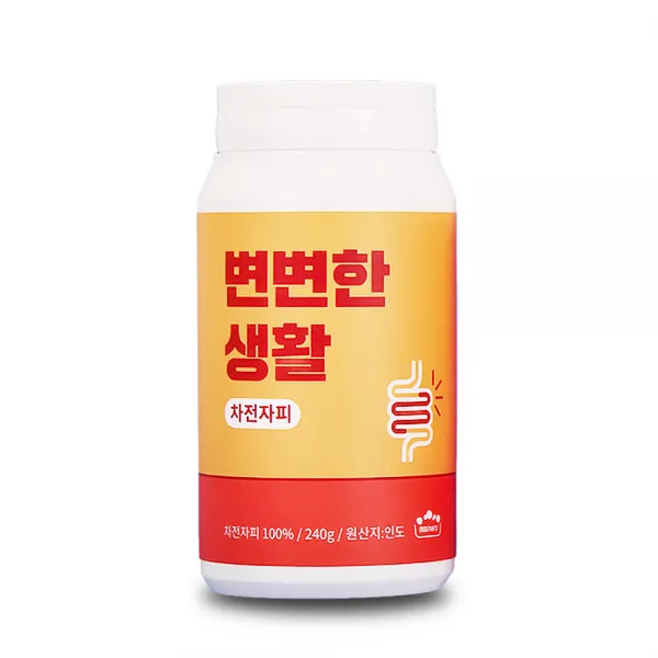 변변한생활 차전자피 분말 240g 1개