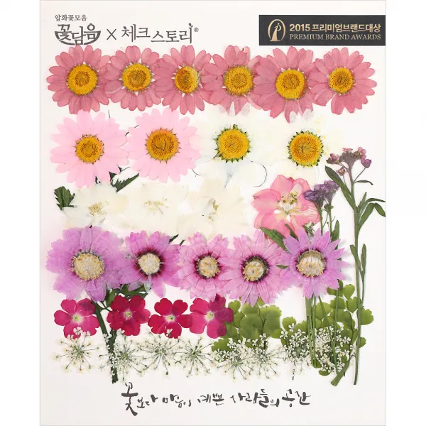 체크스토리 압화꽃 공예 B타입, 04 로맨틱가든