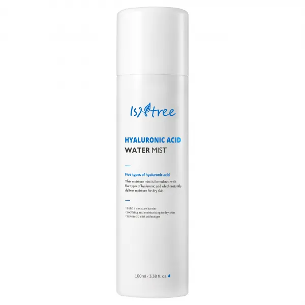 이즈앤트리 히아루론산 워터 미스트 100ml 1개