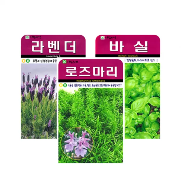 화분월드 허브씨앗 3종세트, 1세트