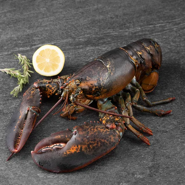 캐나다산 활랍스터, 900g, 1개