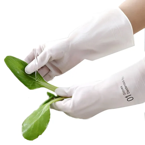 라텍스 니트릴 고무장갑 레터링 포인트 M 4세트