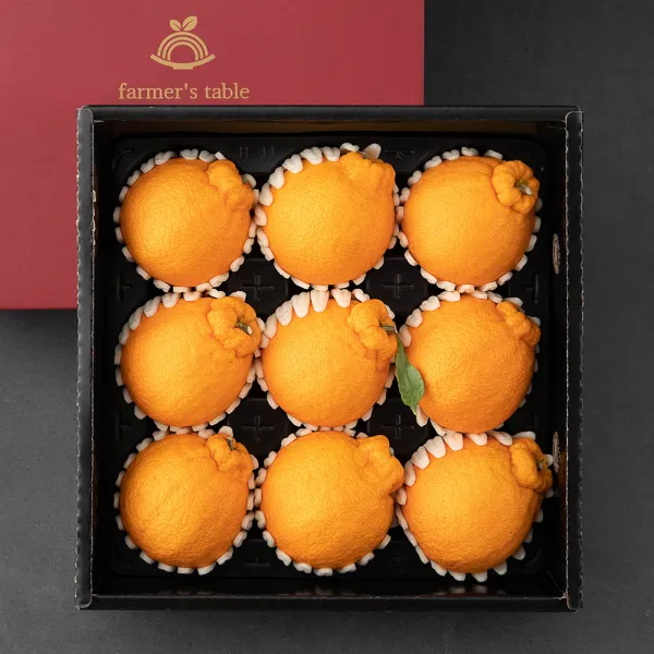 온브릭스 파머스 기프트 한라봉, 3kg(9입), 1개