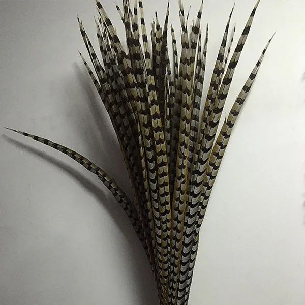 Saycocoa 고양이 천연 꿩깃털 장난감 Jt6775 혼합색상 2개