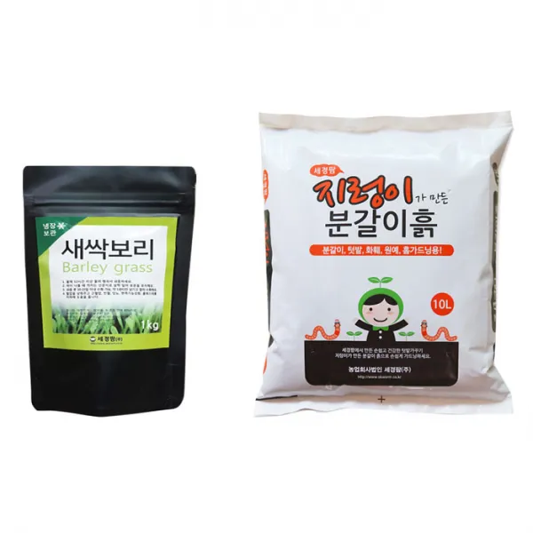 새싹보리 1kg + 분갈이흙 10l
