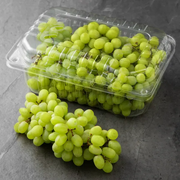 칠레산 씨없는 청포도, 1.8kg, 1개